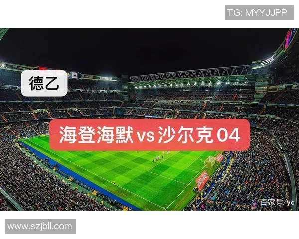 海登与汉诺威对决前瞻分析及比赛结果预测