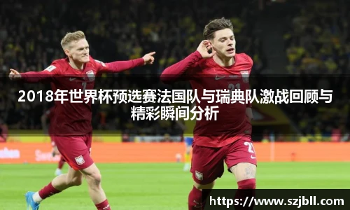 2018年世界杯预选赛法国队与瑞典队激战回顾与精彩瞬间分析